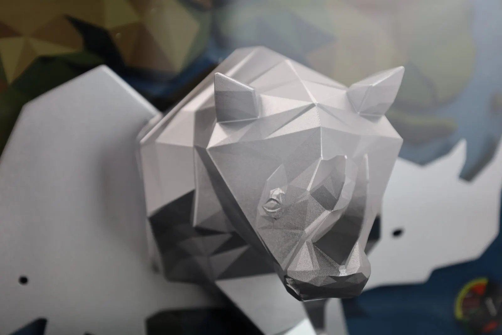 Rhino Trophy — photo 5