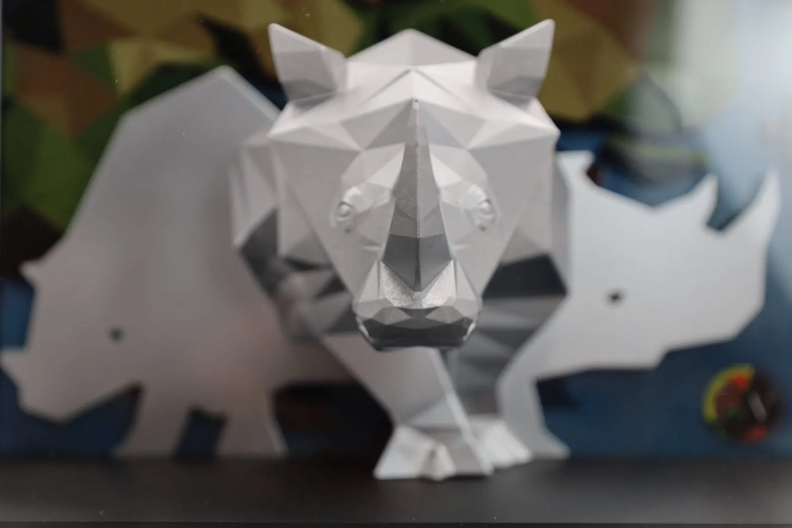 Rhino Trophy — photo 4