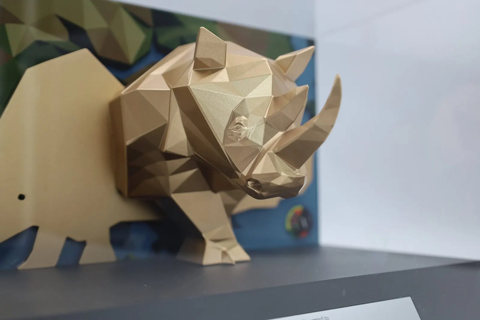 Rhino Trophy — photo 3