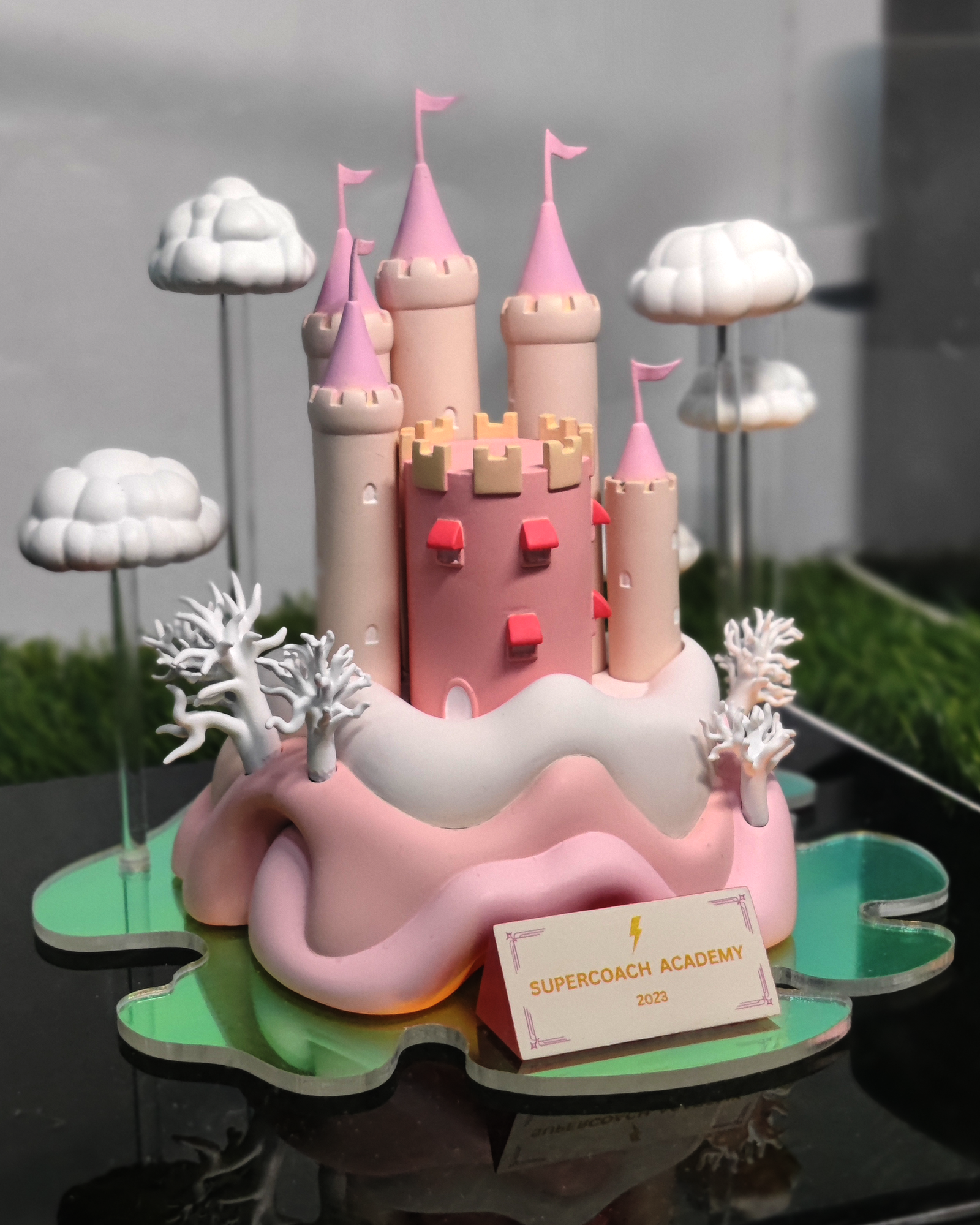 Castle Trophy — photo 7