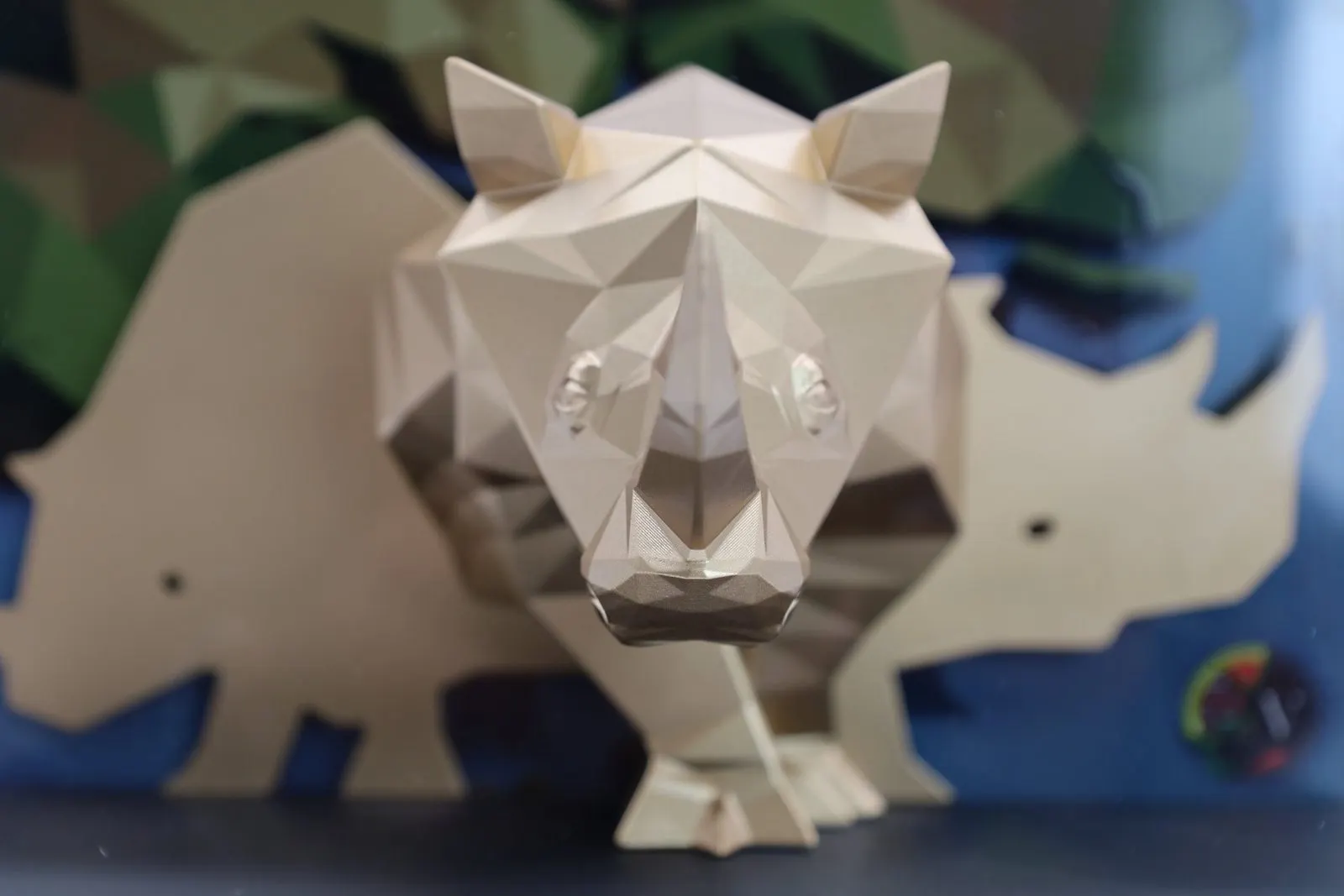 Rhino Trophy — photo 13