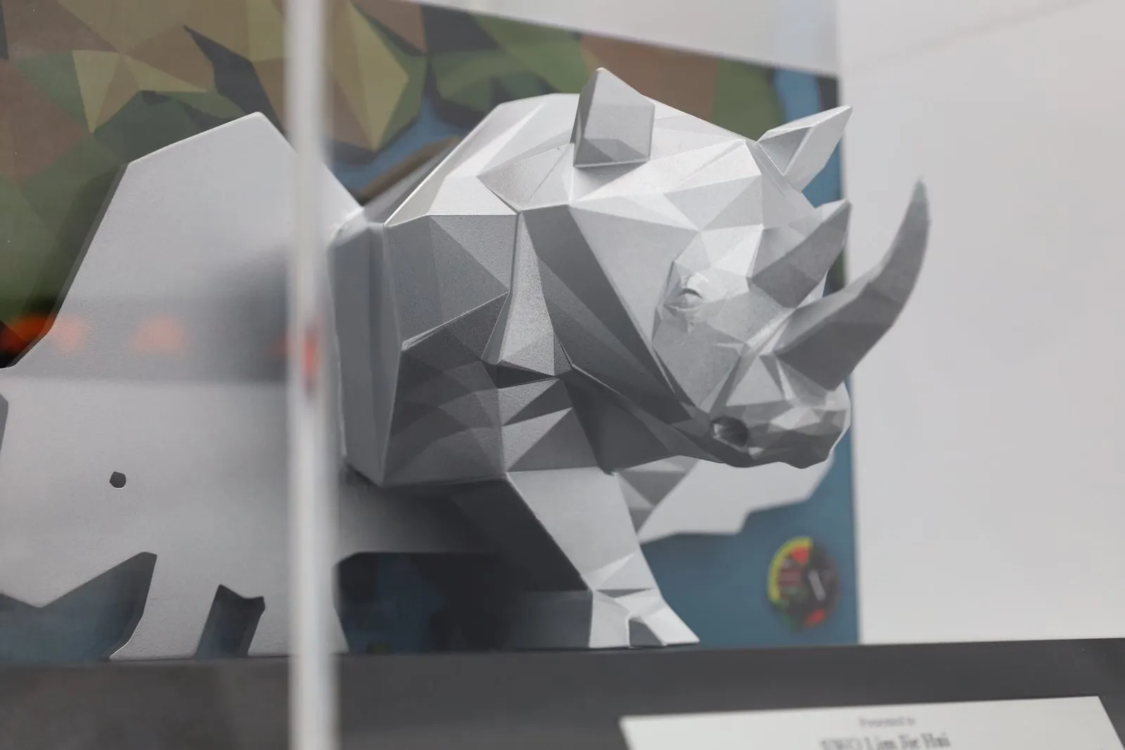 Rhino Trophy — photo 14