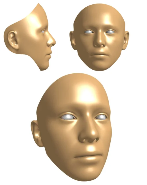 Render of the smooth face in a skin tone from the side, the front and a three-quarter view, with white eyeballs in the sockets