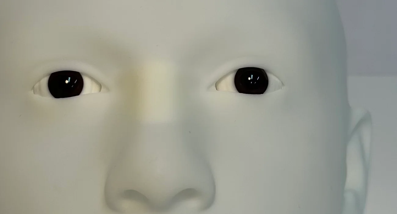 Close-up of the printed face between the brows and the nose, with two glossy dark eyes set in the matt white sockets