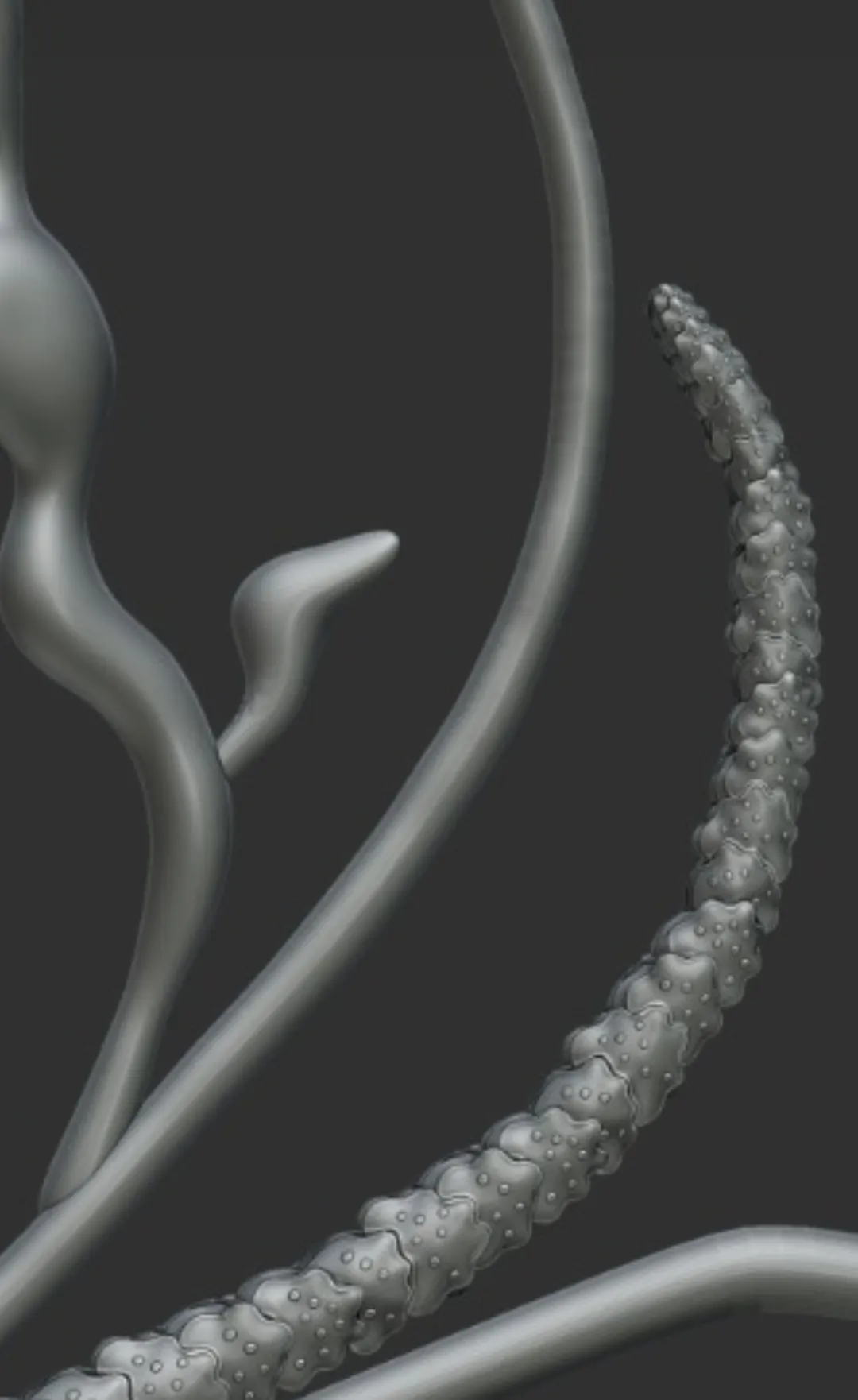 Close-up render of sculpted branches, one smooth and curling, one covered in raised beads