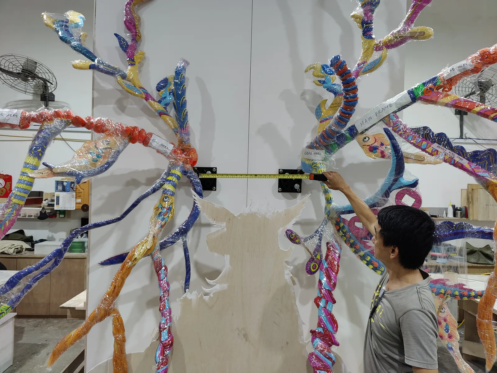 Both sides of the antlers dry-fitted on a white studio wall, with a tape measure stretched between the two wall brackets