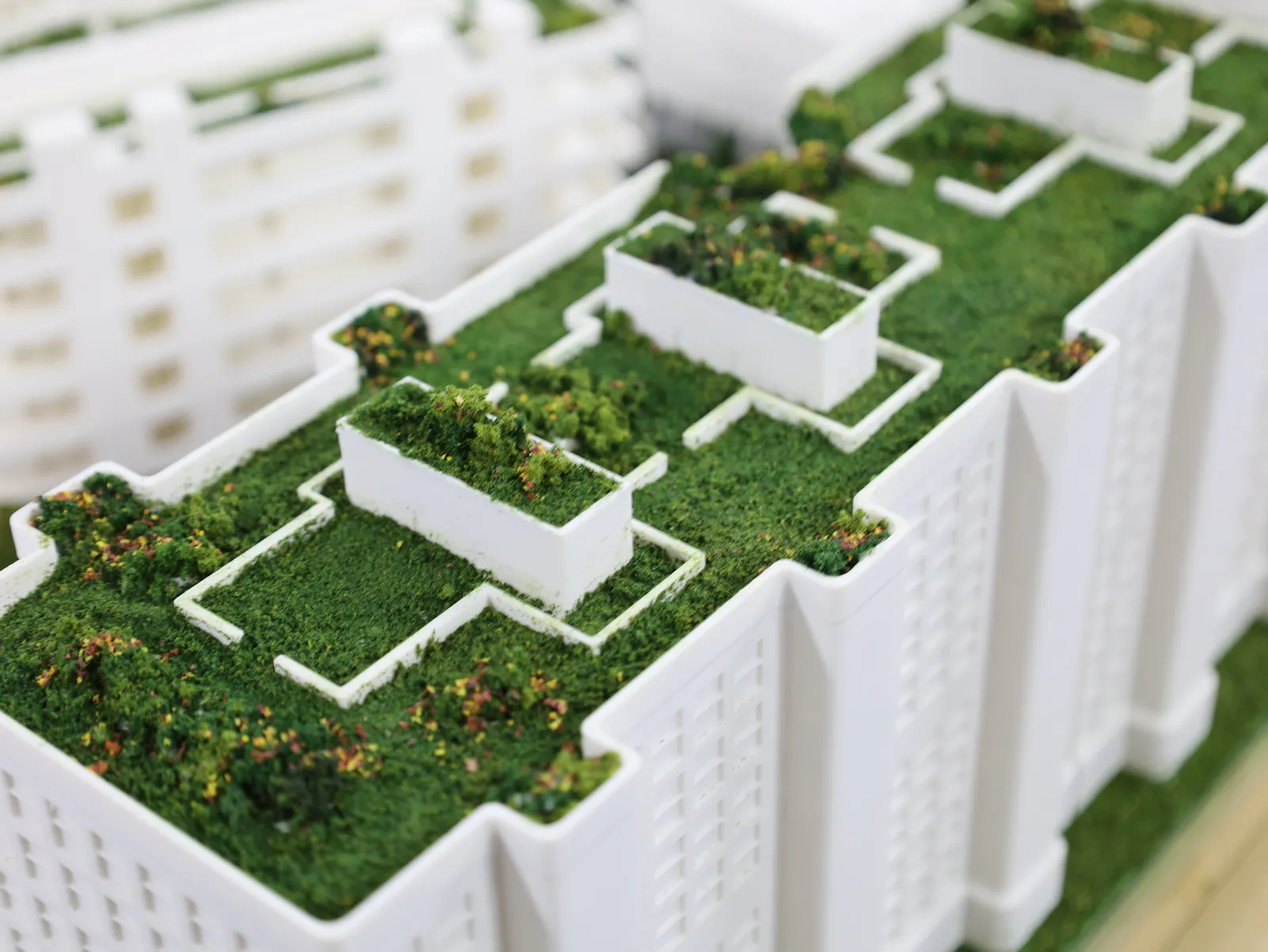 Close-up of a residential tower roof: raised planters and green lawns edged in white, with small flowering shrubs