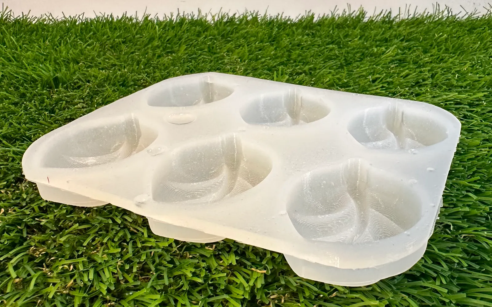 The finished translucent silicone mould on grass, seen from a low angle, with six leaf-shaped cavities in two rows