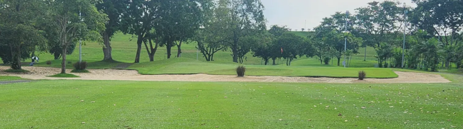 A photo taken on the real course: a sand bunker in front of a green, with a line of trees behind