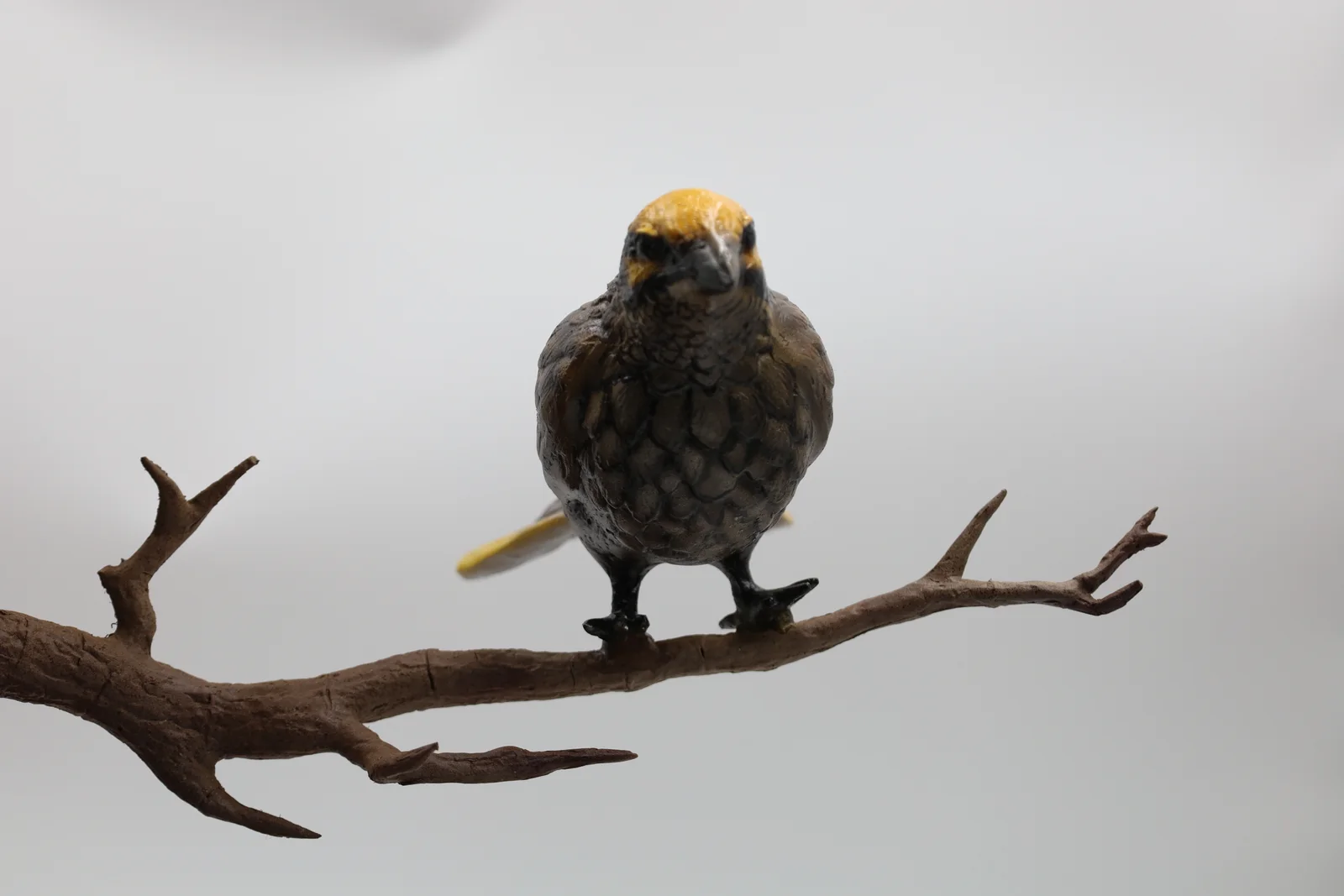 Mandai Wildlife Figurines photo 3