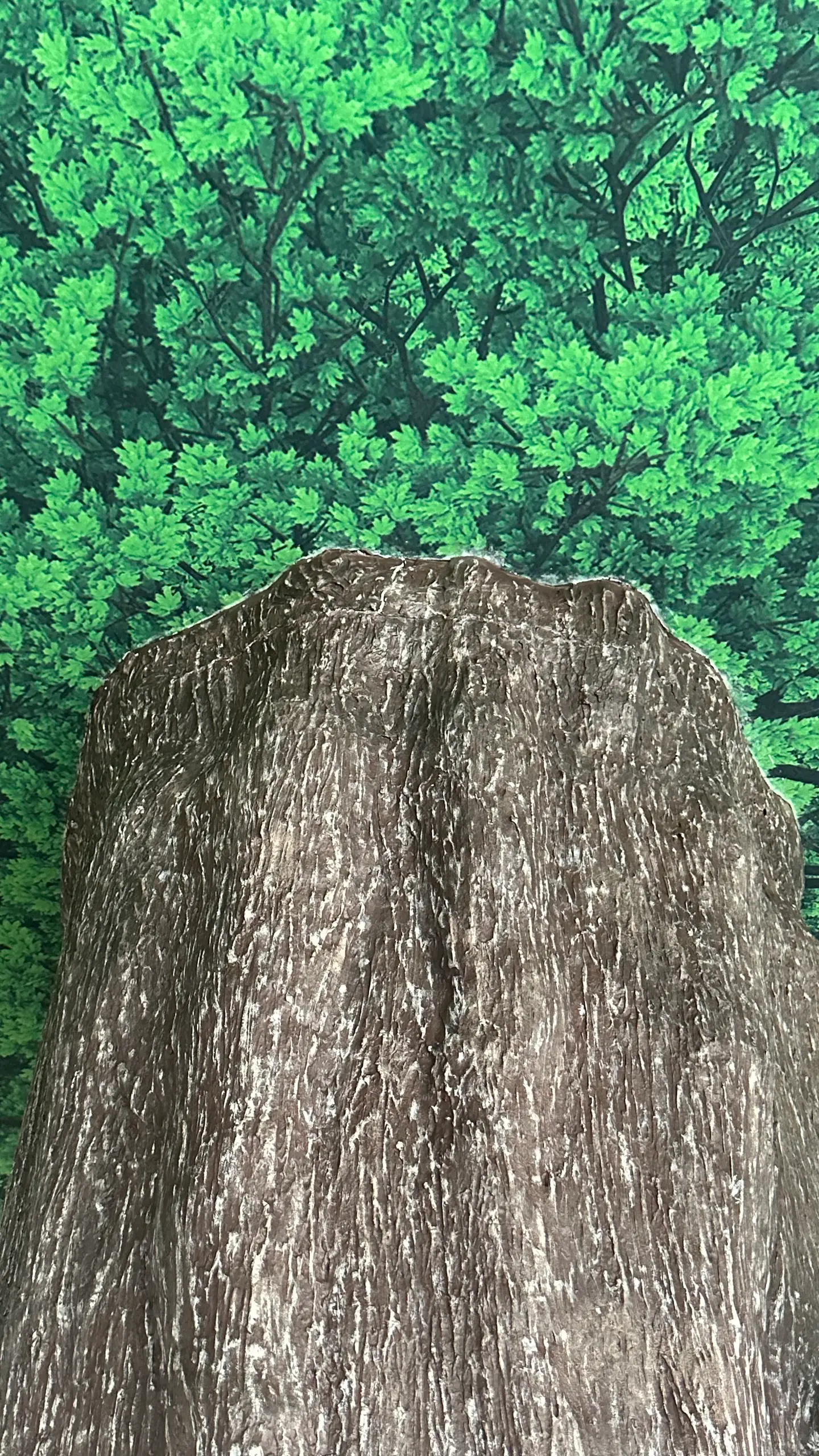 Close-up of the painted bark on the top of the trunk against the green canopy mural