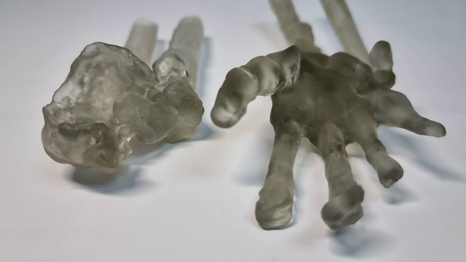 Resin-Printed Bone Model photo 3