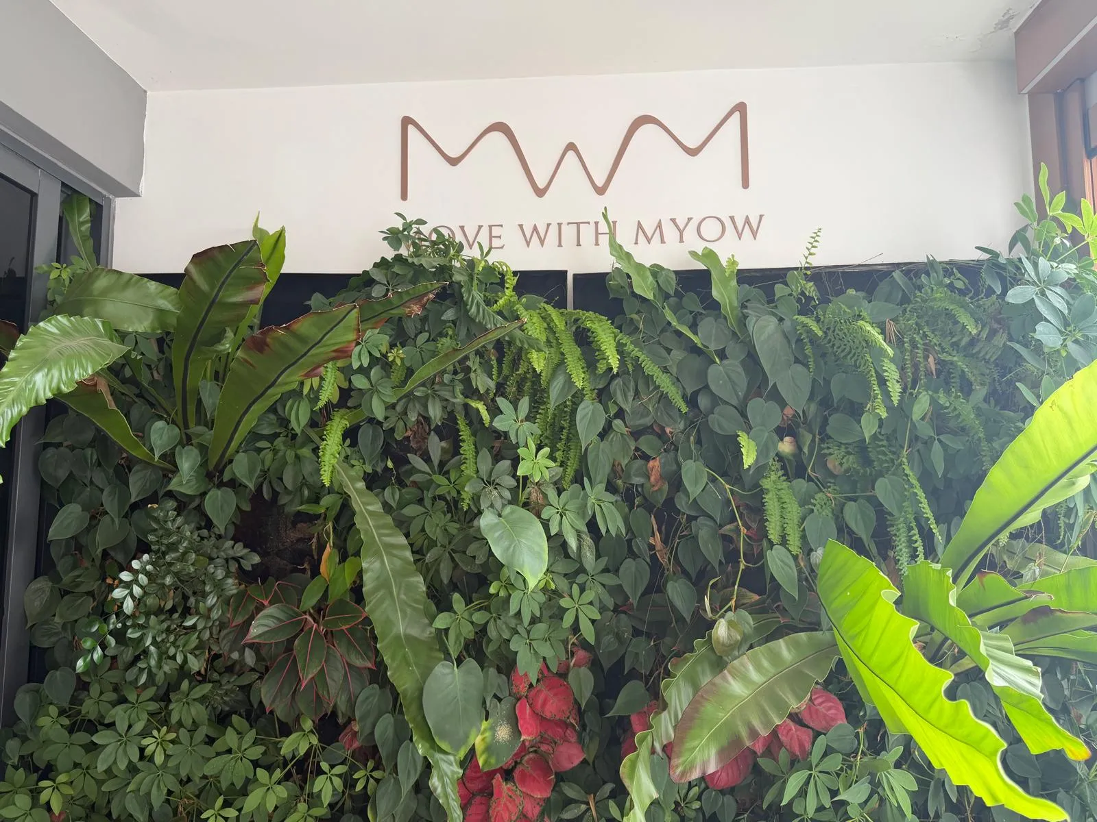 The finished rose gold sign on the white wall above a living wall of ferns and leafy plants