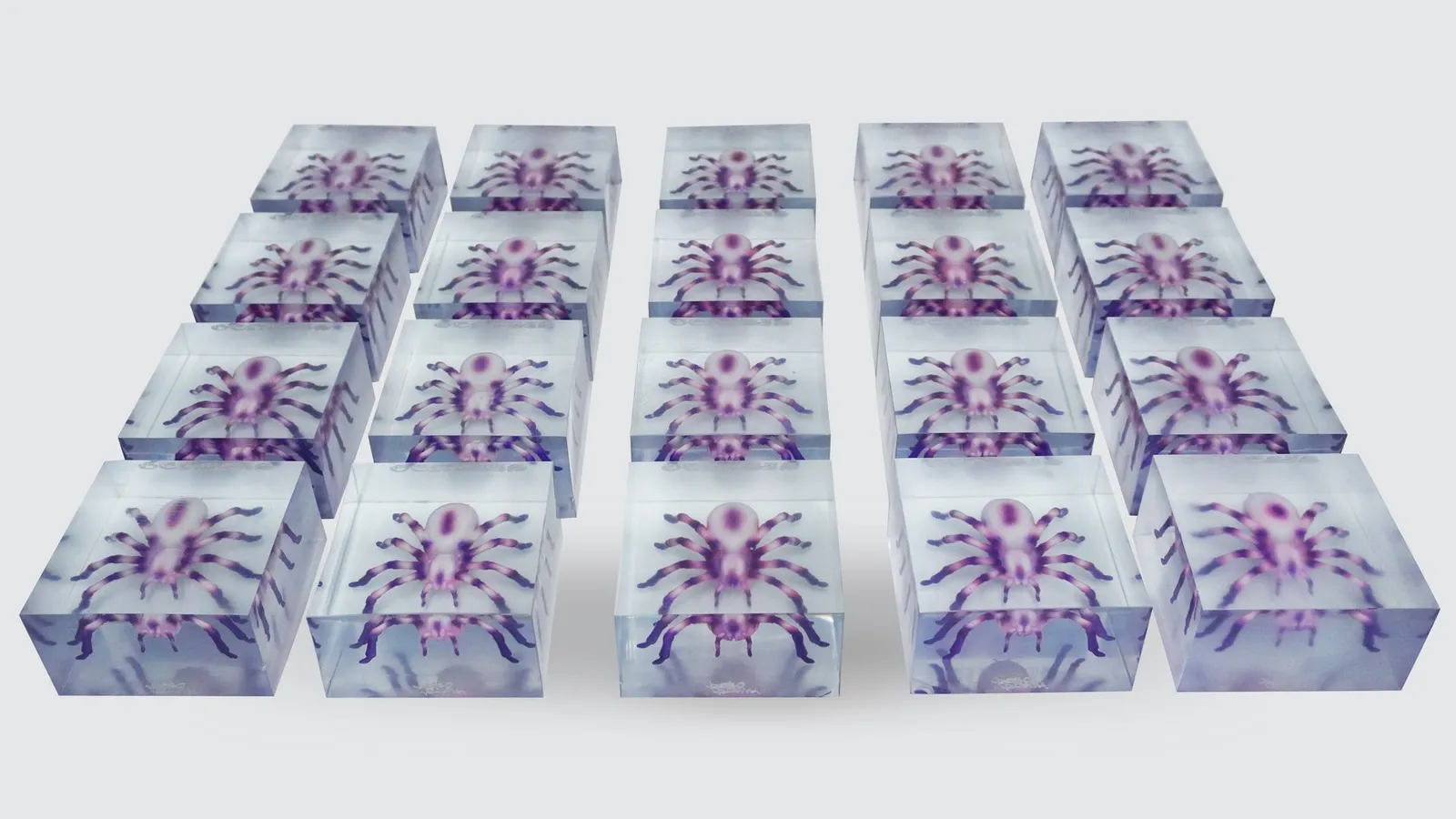 All twenty finished resin blocks laid out in four rows of five, each with a purple and pink tarantula inside