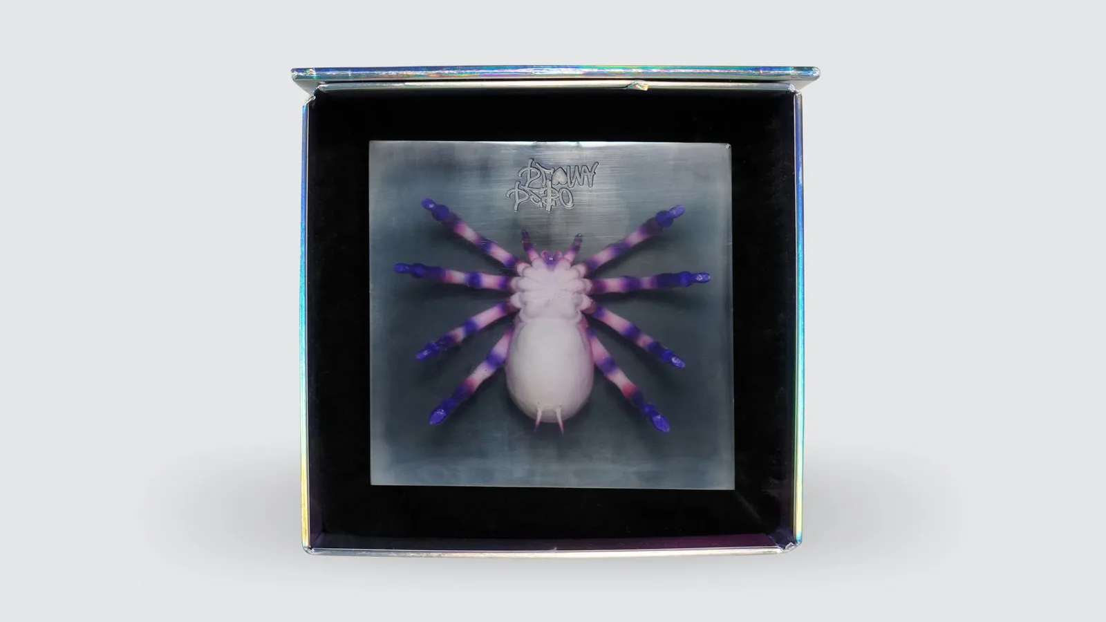 A resin block sitting in an open holographic gift box with a black lining, the spider seen from below with the Doble P mark above
