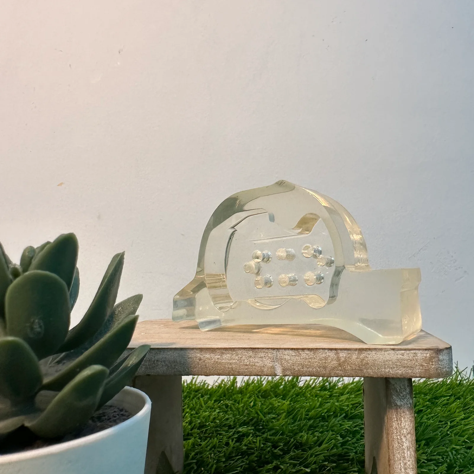 Transparent Embossed Dome photo 2