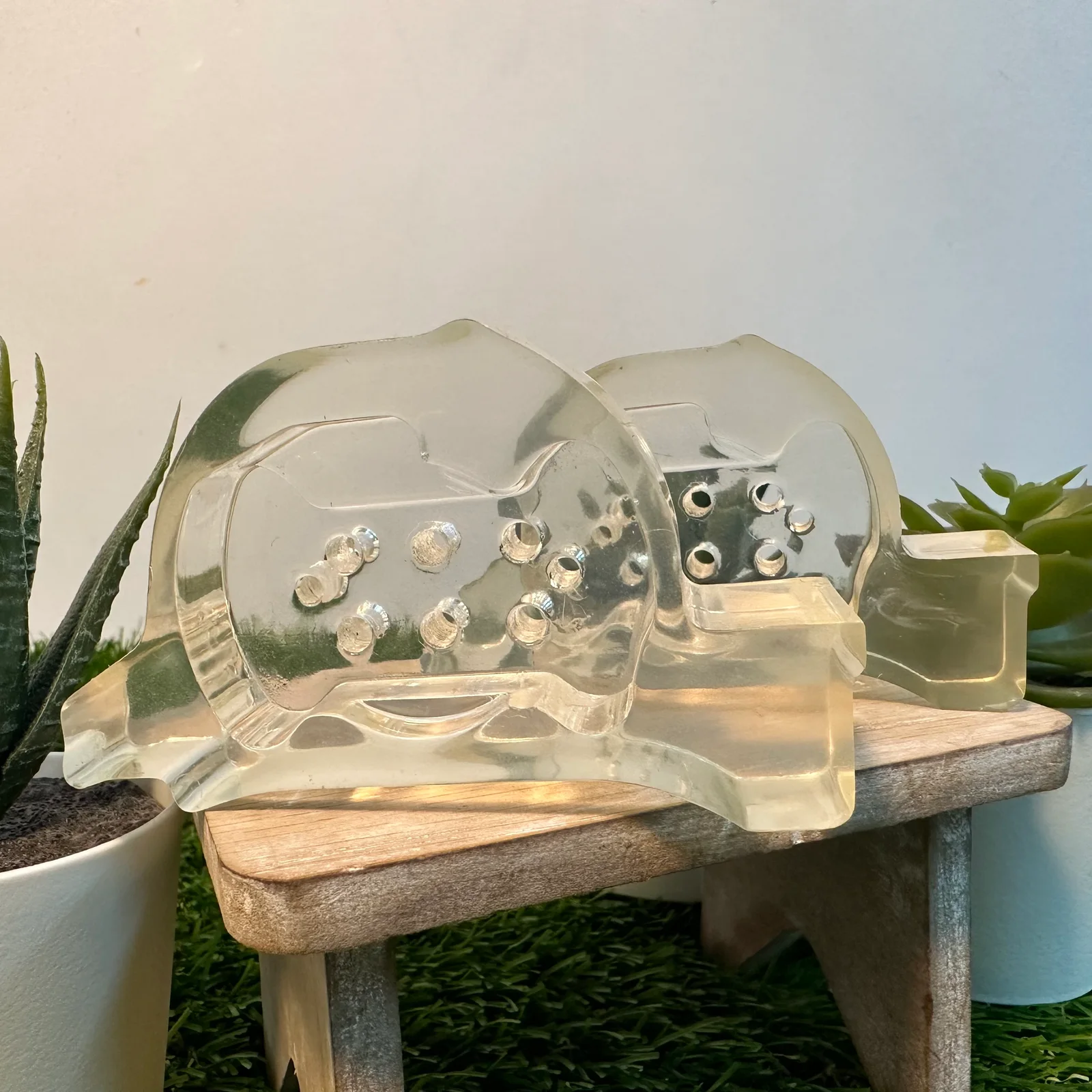 Transparent Embossed Dome photo 4