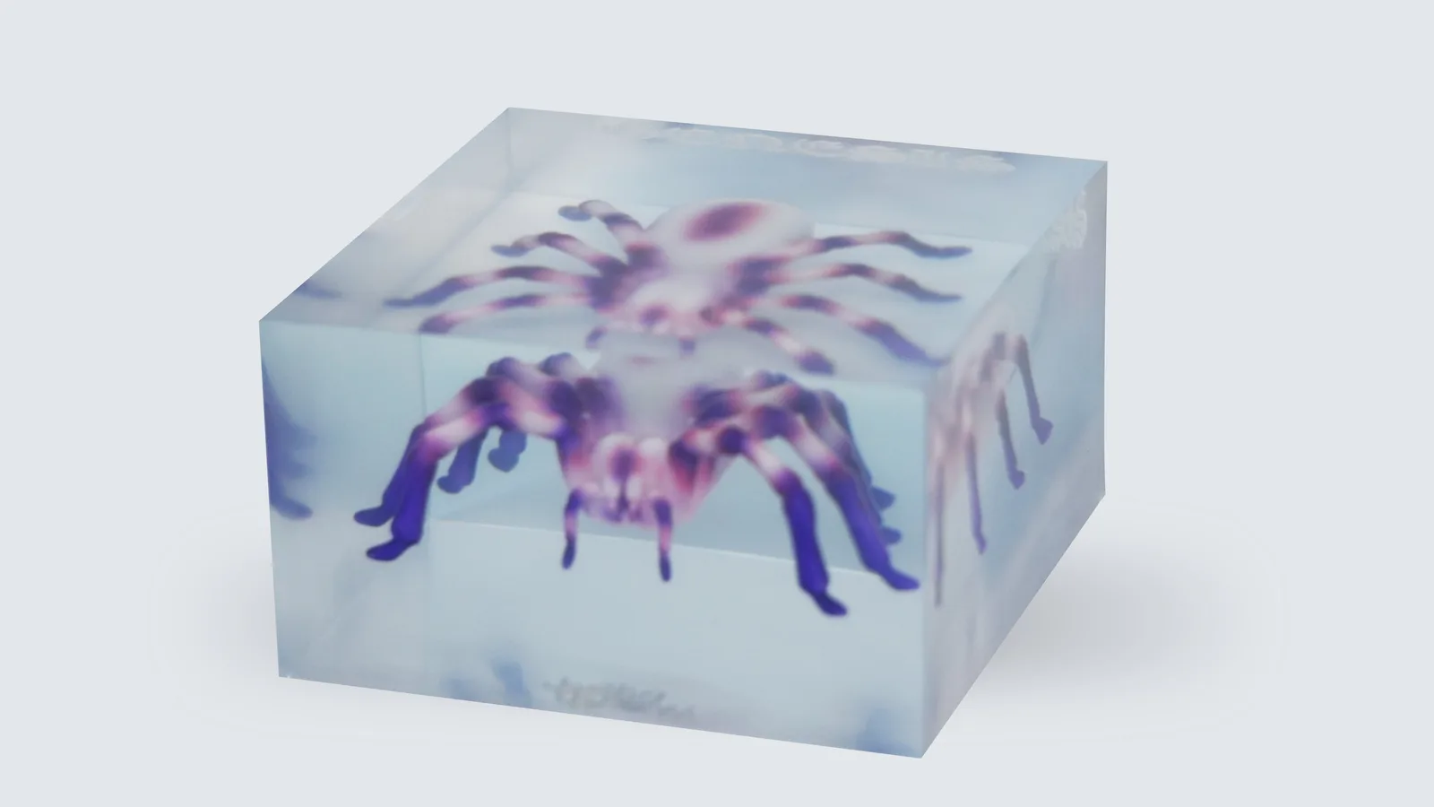Peso Pluma’s Spider
